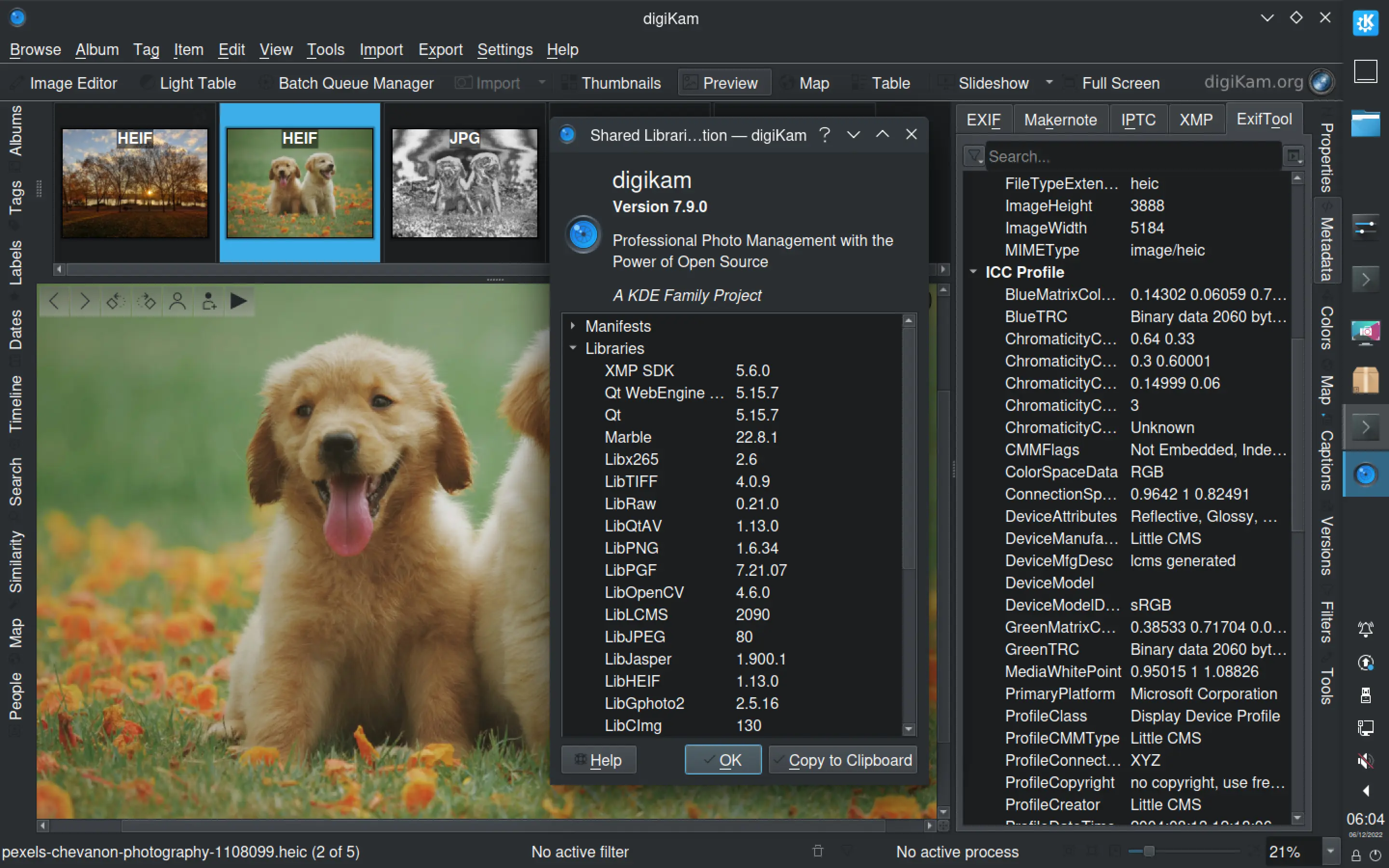 digiKam 7.9.0 Showing HEIF Image Under Liux